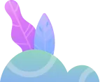 shape